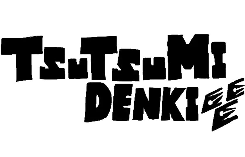 TSUTSUMI DENKI